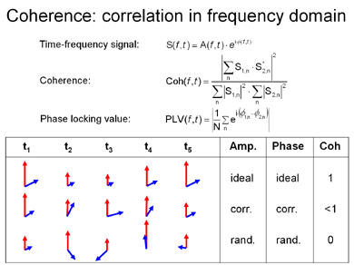 oscillations phase coherence feedback