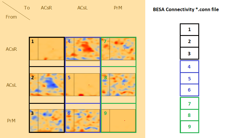 BESA Connectivity Data Blocks.png