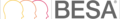 Besa-logo transparent.png